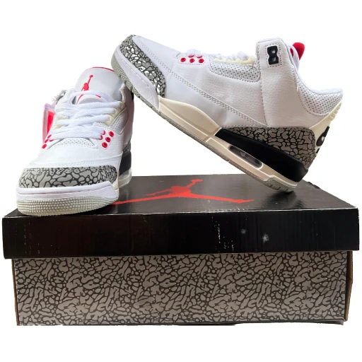Air Jordan 3 Retro - L'Icône du Court
